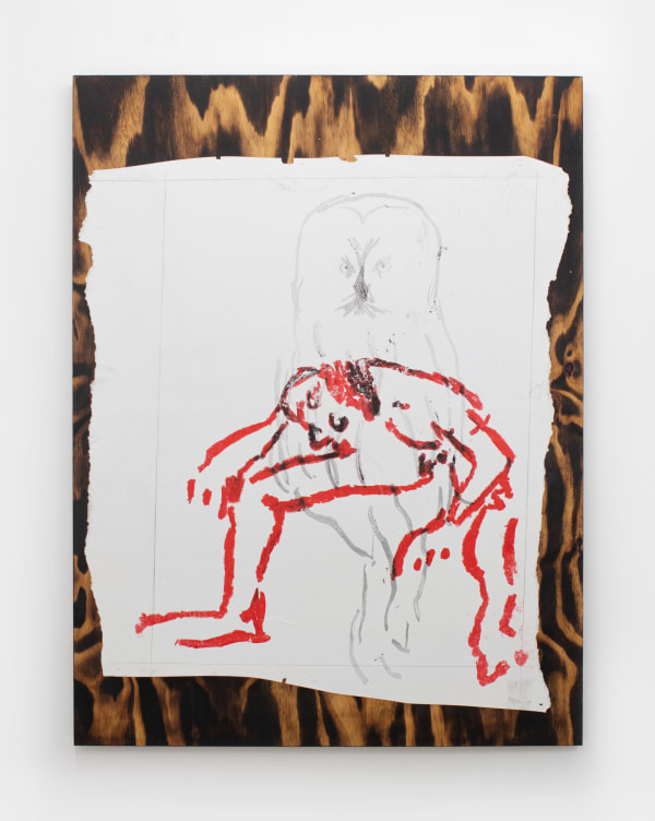 Daniel Boccato, owlpainting, 2022