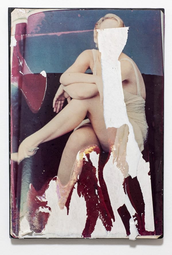 Guillermo R. Gudiño, Encarnación involuntaria #3, 2013