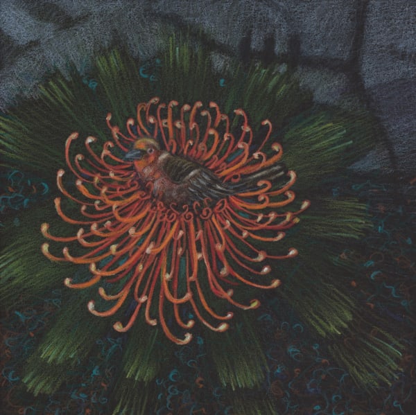 Elizabeth Shull, Why Not, 2021