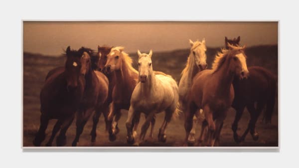 Norm Clasen, Twilight, Riverton, WY, 1985