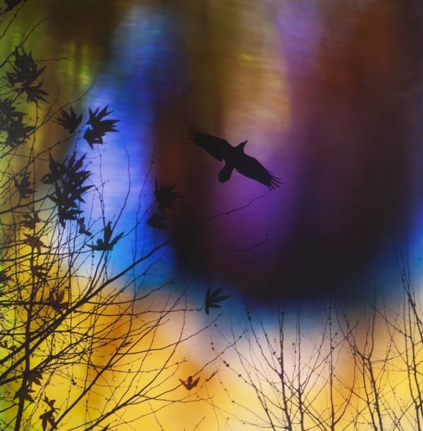 Lisa Eisner, Freebird, 2010