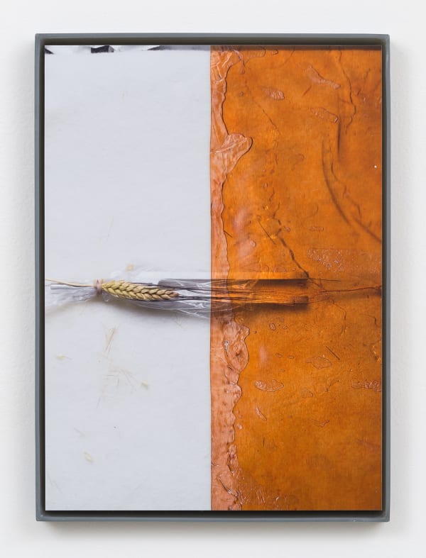 Jesse Stecklow, Untitled (Fly tapes: Potential Derivatives), 2015