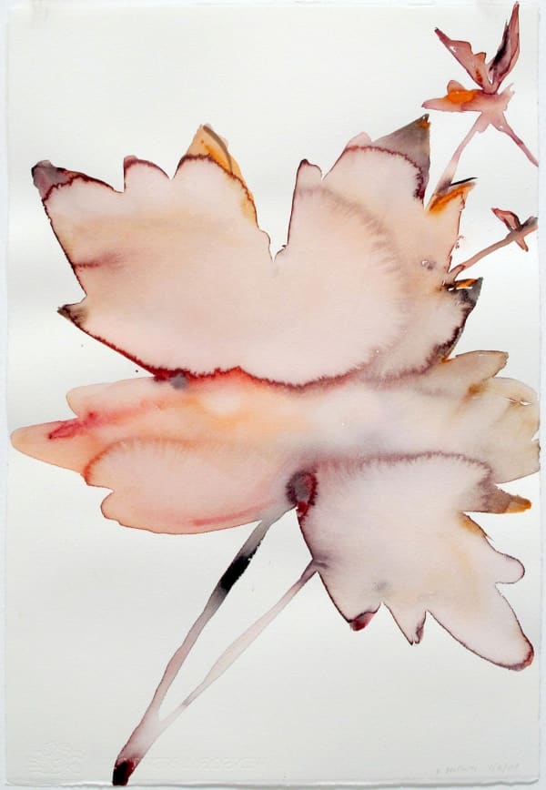 Kim McCarty, April 6, 2009 AM, 2009