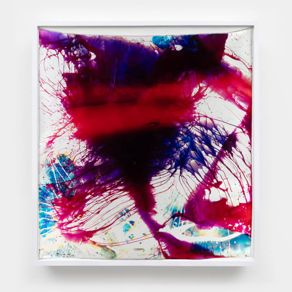 Mariah Robertson, 001, 2024