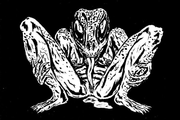 Mat Brinkman, Pleasing Frog Woman, 2009