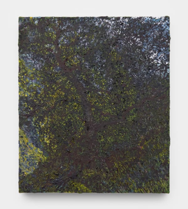 JP Munro, Mountain Oak, 2024