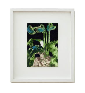 Oxana Tregubova, Ranunculus Magnoliophyta, 2024