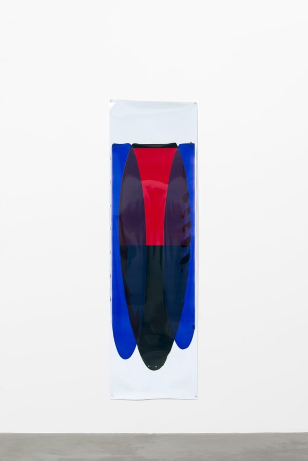 Ellen Carey, Pull & Rollbacks, 2002