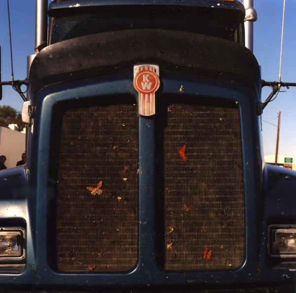 Lisa Eisner, Butterfly Grill, Marfa, Texas, 2003