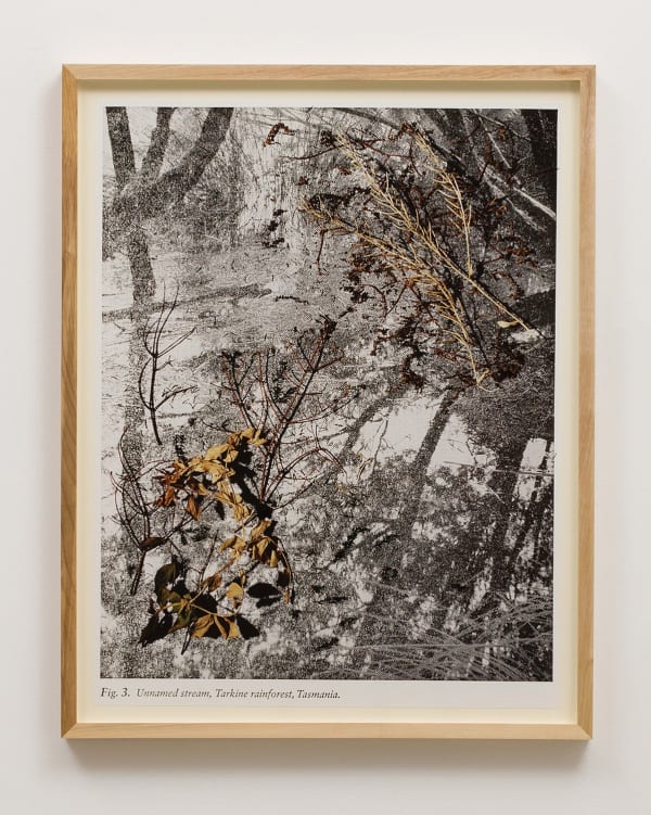 Matthew Porter, Figure 3, 2013