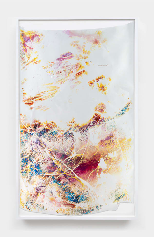 Mariah Robertson, 023, 2024