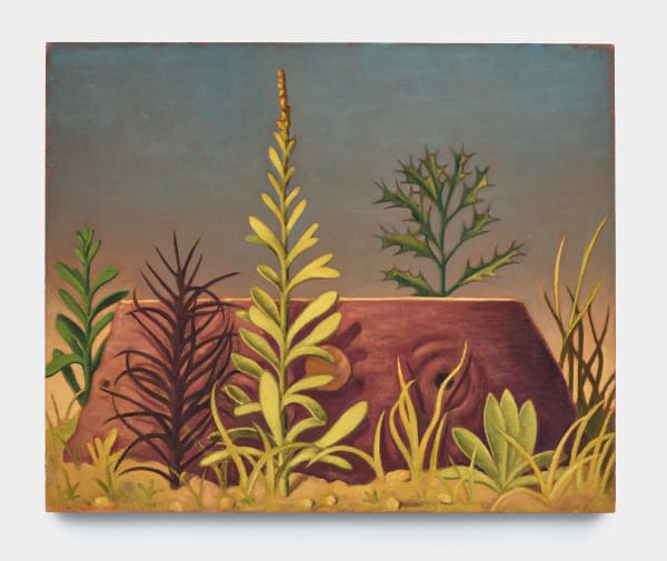 Nat Meade, Weeds, 2024