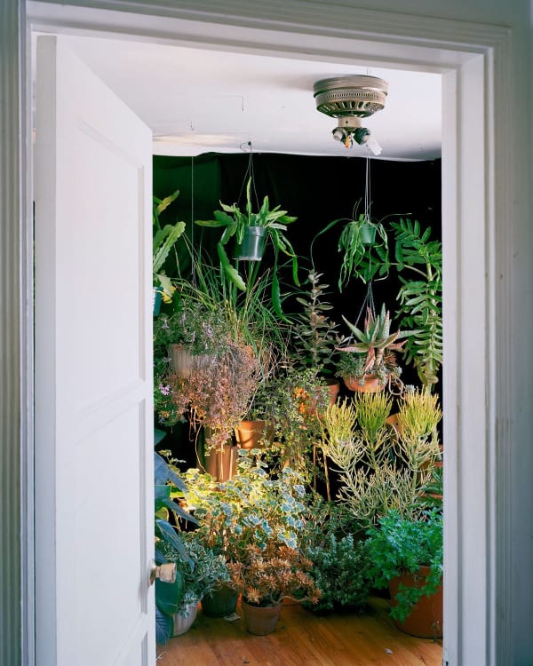 Anthony Lepore, House Party, 2013