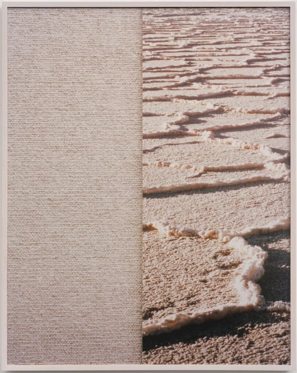 Anthony Lepore, Salt Carpet, 2010