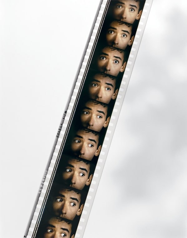 Matthew Spiegelman, UNTITLED (One Crazy Summer) (35mm trailer for film of the same name, three strobes, potted plant, semi-transparent window shade, 4x5 camera with tilt and swing on front standard, 180mm lens), 2010