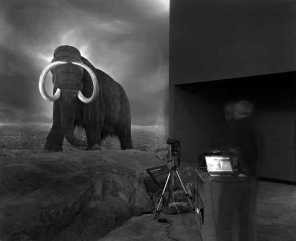 Matthew Pillsbury, Photographing the Mammoth, Royal British Columbia Museum, Canada, Monday October 17th, 2005, 2005