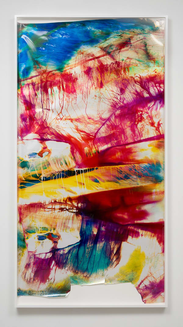 Mariah Robertson, 185, 2014