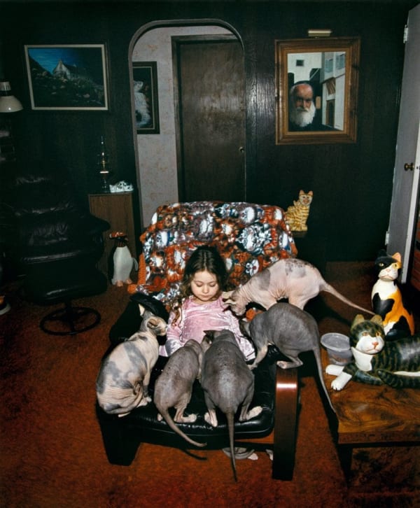 Robin Schwartz, Six Sphynx, 2004