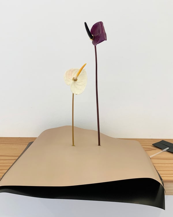 Claude Wampler, If I had a penis and Frank Ocean were my boyfriend (Florist Performance), 2023