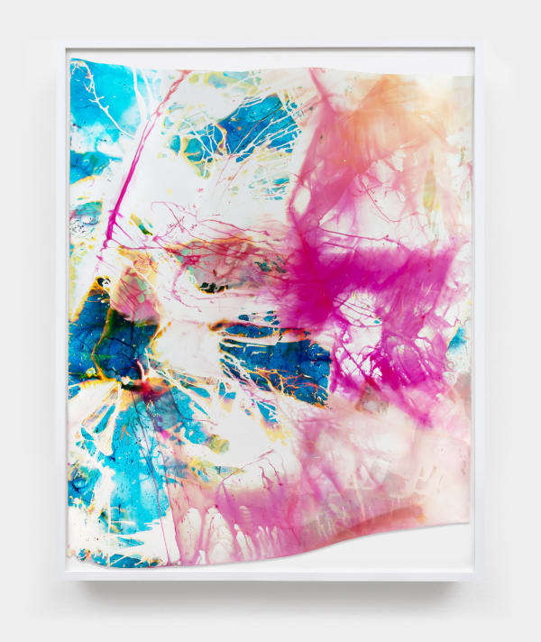 Mariah Robertson, 018, 2024