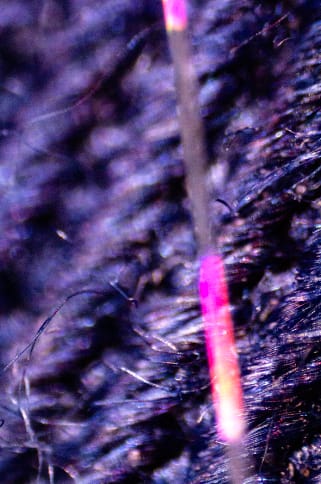 Mariana Parisca, Contents of Miami Bag 12/05/22 (On Course), 2022