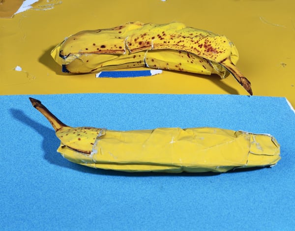 Daniel Gordon, Bananas, 2013