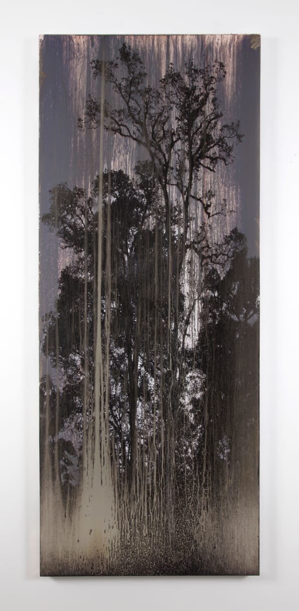 Matthew Brandt, AgXB751B, 2019