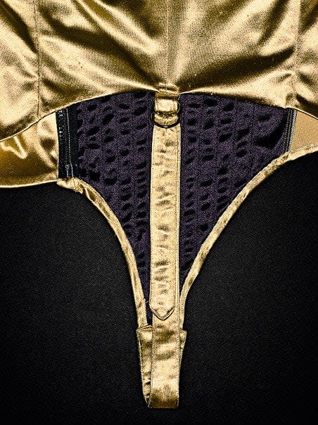 Henry Leutwyler, Dangerous Tour Bodysuit 1992-1993 No. 2, 2009