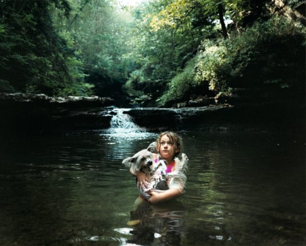 Robin Schwartz, Carriage House Waterfall