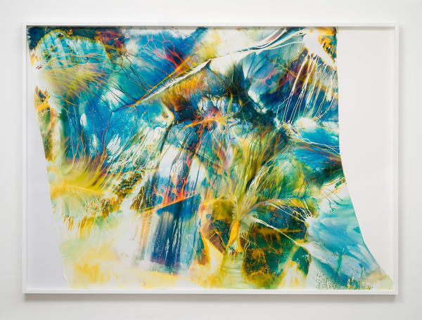 Mariah Robertson, 343, 2014