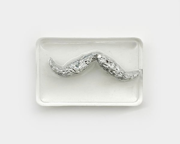 Nicole Nadeau, zohore mustache 01, 2022