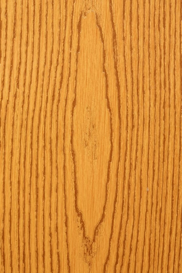 Jason Nocito, Wood 1, 2013