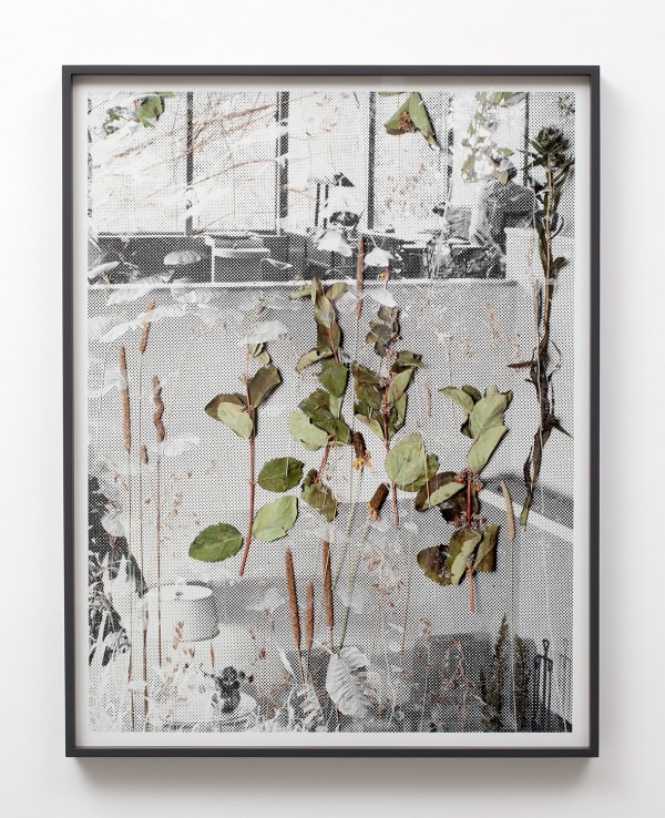 Matthew Porter, Von Sternberg House #2, 2012