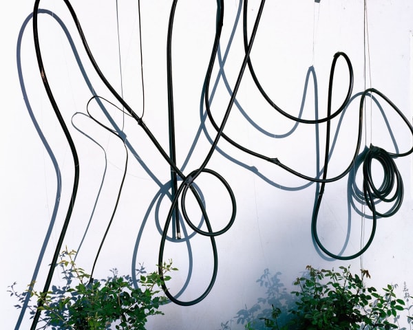 Anthony Lepore, House Hose, 2013