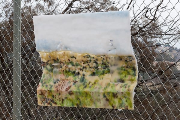 Dwyer Kilcollin, Sunny 5pm Bottles, 1st Position, 2014