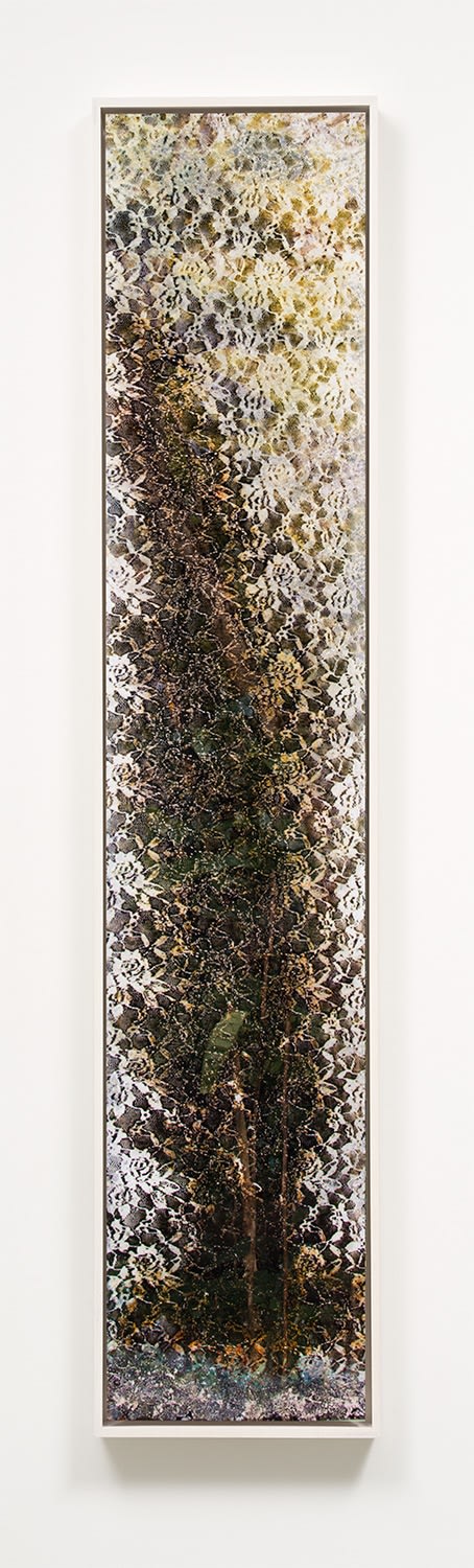 Matthew Brandt, Wai'anae 64121, 2015