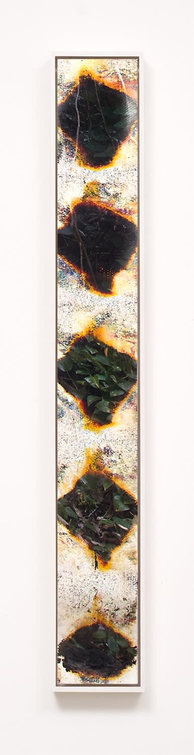 Matthew Brandt, Wai'anae 4651, 2015