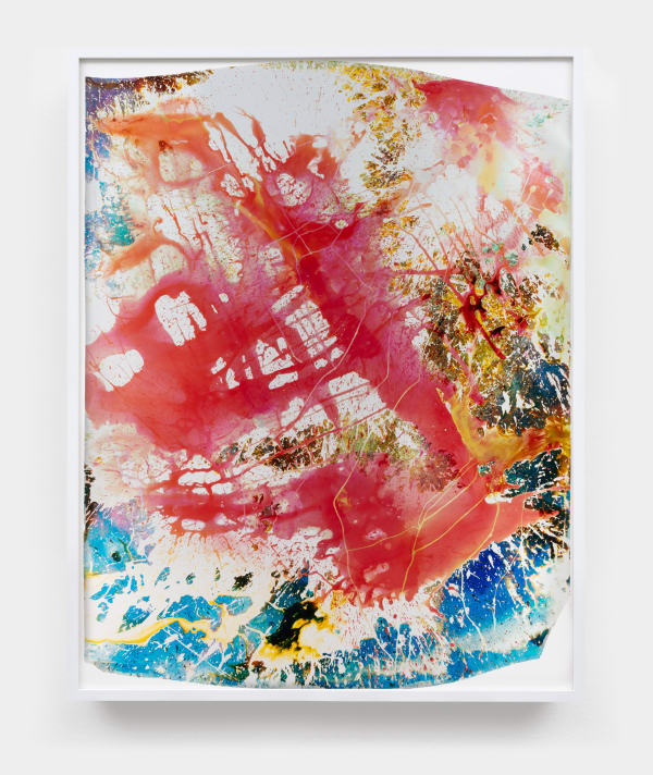 Mariah Robertson, 016, 2024