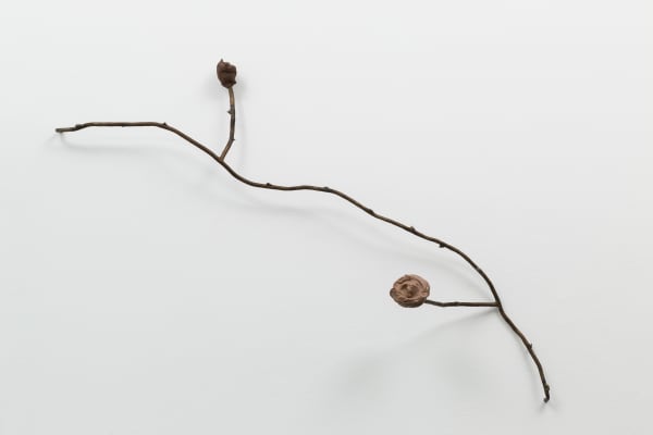 Tyler Christopher Brown, The Optimist Sees the Rose and Not It’s Thorns, 2023