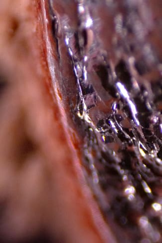 Mariana Parisca, Contents of Miami Bag 12/05/22 (Lorena), 2022