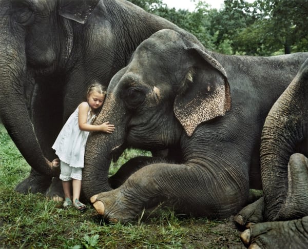 Robin Schwartz, Trunk Sniff