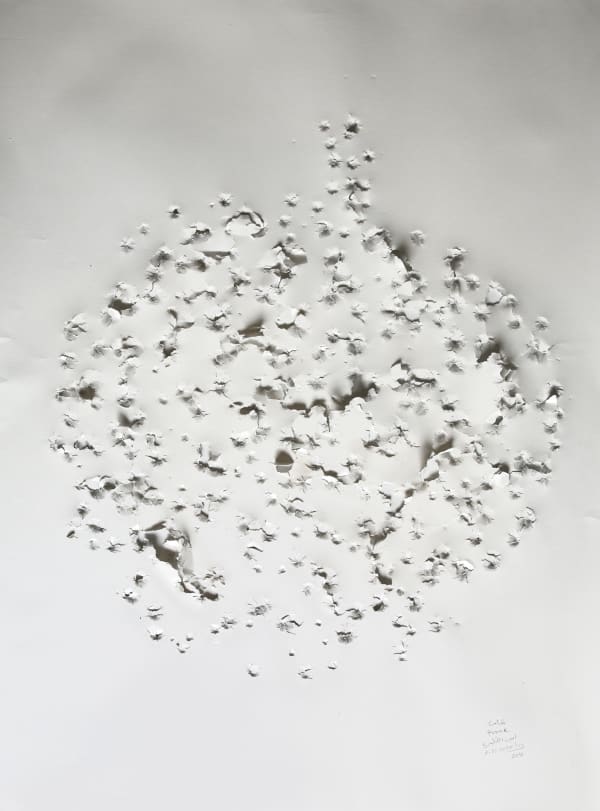 Pomme (Apple), 2016