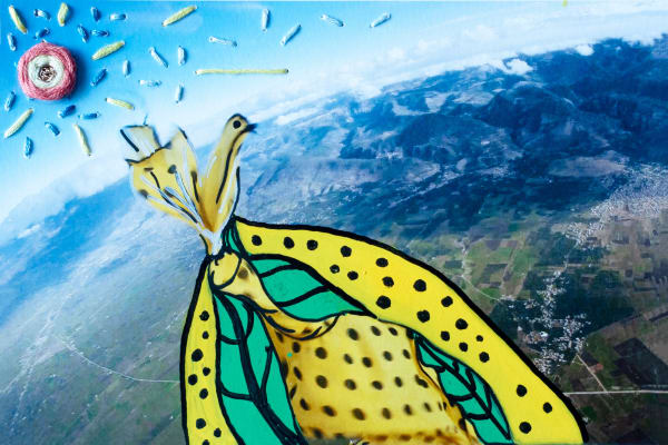 Free like a yellow bird, 2024