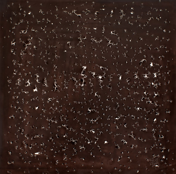 Terrain Noir (Black Field), 2021