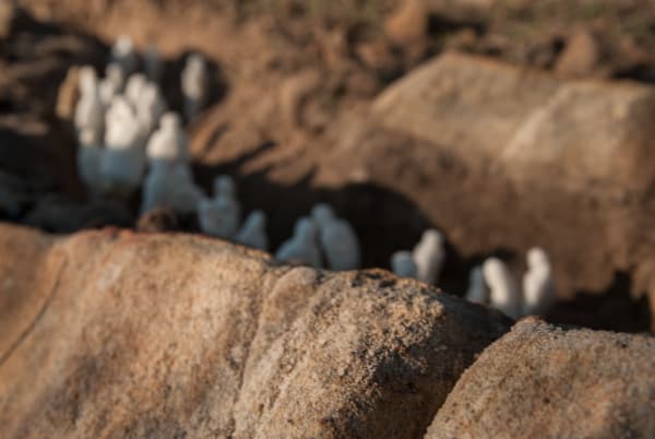 Rivière Sèche - Flou (Dry river-Blurry), 2011