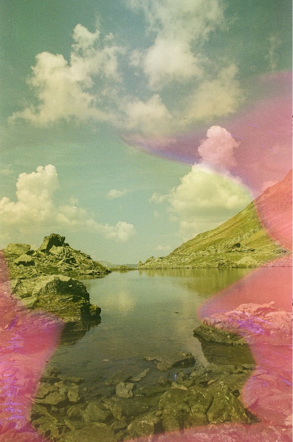 Untitled, 2024