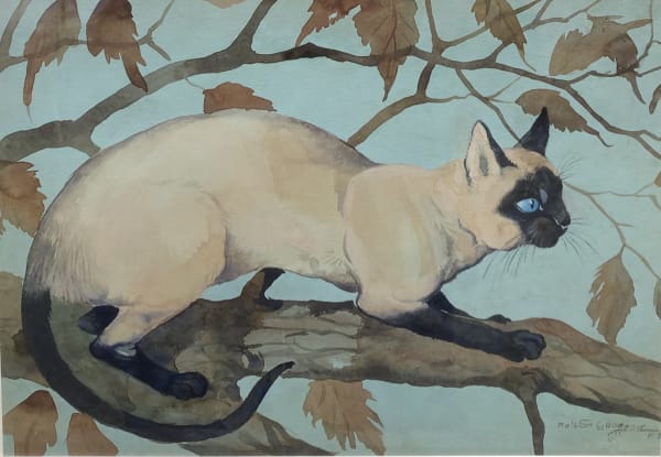 Ralston R B Gudgeon RSW, Siamese Cat