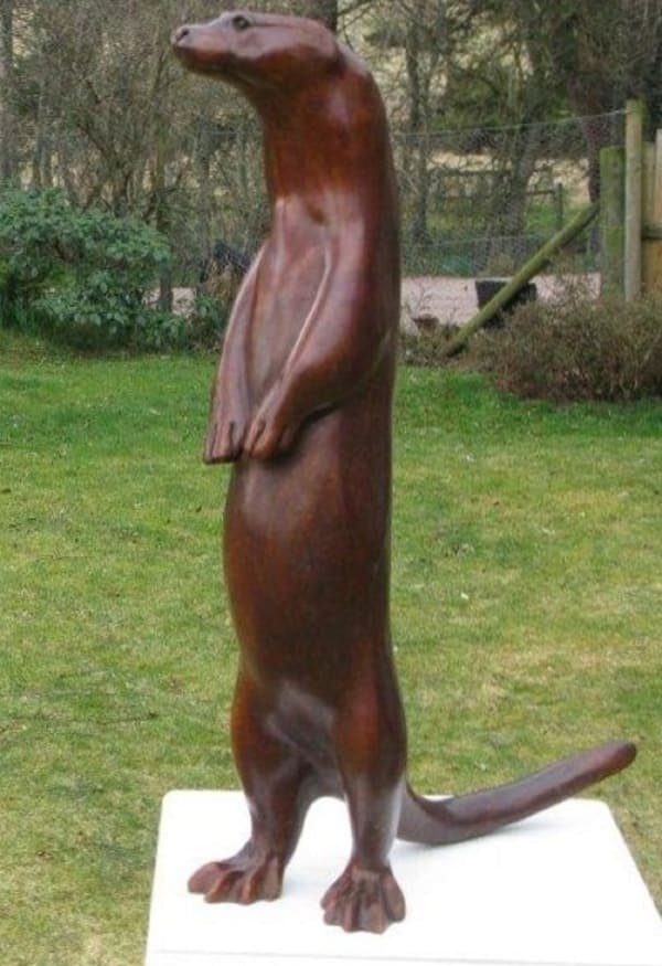 Martin Hayward Harris, Begging Otter