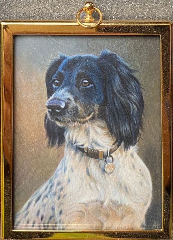 Andrew Hutchinson RMS, Spaniel, 2022