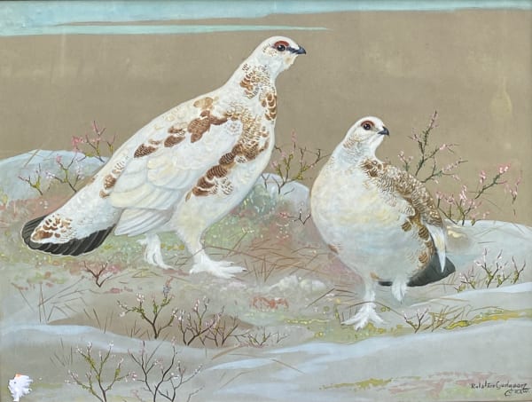 Ralston R B Gudgeon RSW, Ptarmigan